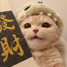 Người dùng 868vip